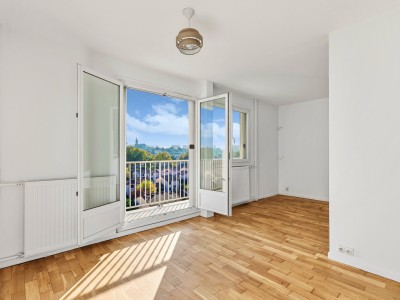 Appartement 2 pièces avec balcon - 1 chambre A VENDRE - RILLIEUX LA PAPE - 49.07 m2 - 150 000 &euro;