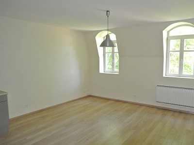 maison appartement à louer  agence immobilière à lyon