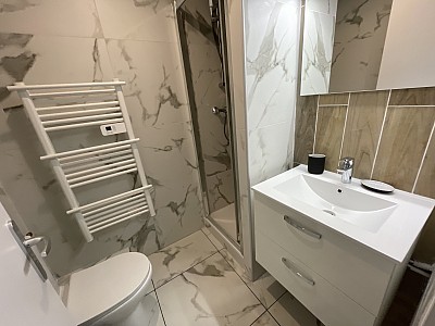 APPARTEMENT T1 A LOUER - LYON 1ER ARRONDISSEMENT - 35.72 m2 - 994 &euro; charges comprises par mois