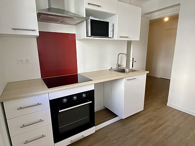 APPARTEMENT T1 A LOUER - LYON 4EME ARRONDISSEMENT - 42,36 m2 - 790 € charges comprises par mois