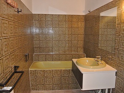 APPARTEMENT T2 A LOUER - LYON 2EME ARRONDISSEMENT - 52.82 m2 - 813€ charges comprises par mois