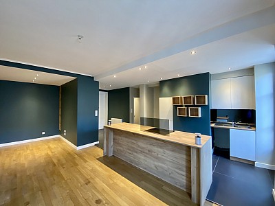 APPARTEMENT T2 A LOUER - LYON 7EME ARRONDISSEMENT - 56.69 m2 - 1 089 € charges comprises par mois