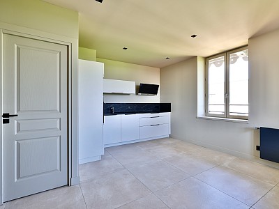 APPARTEMENT T2 A LOUER - ST CYR AU MONT D OR - 1 095 € charges comprises par mois