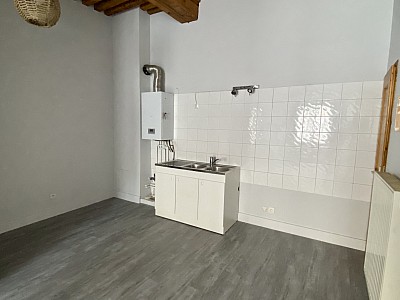 APPARTEMENT T3 A LOUER - LYON 7EME ARRONDISSEMENT - 61.5 m2 - 842€ charges comprises par mois