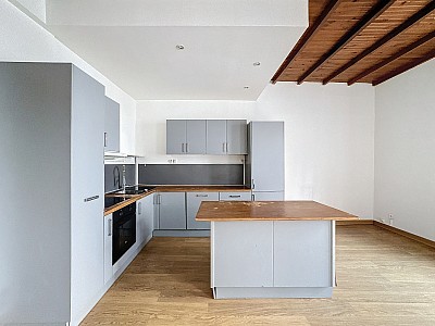 APPARTEMENT T3 A LOUER - LYON 7EME ARRONDISSEMENT - 73.96 m2 - 1�000�&euro; charges comprises par mois