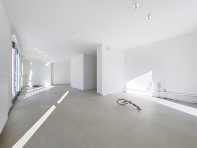 APPARTEMENT T5 A VENDRE - ECULLY - 113 m2 - 689900€