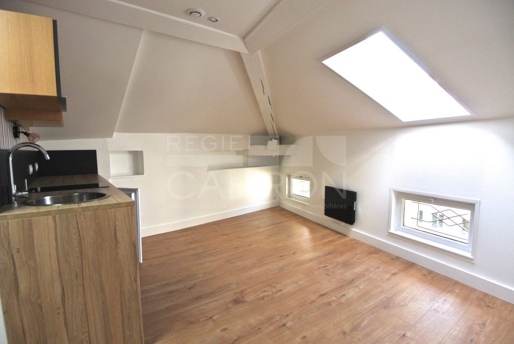 STUDIO A LOUER - CALUIRE ET CUIRE - 22.02 m2 - 475�&euro; charges comprises par mois