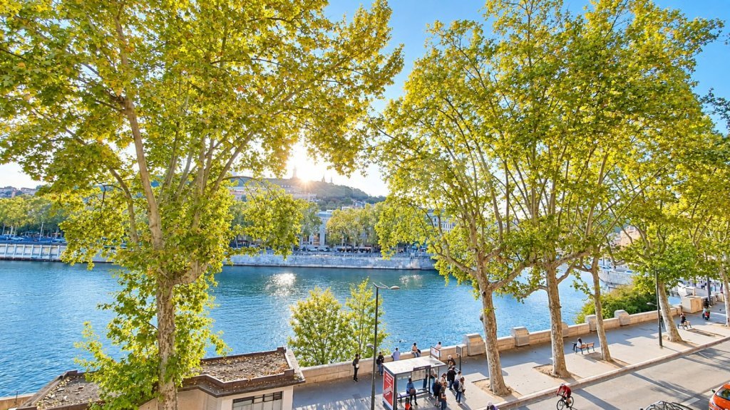 APPARTEMENT T2 A VENDRE - LYON 1ER ARRONDISSEMENT - 78 m2 - 480 000 &euro;