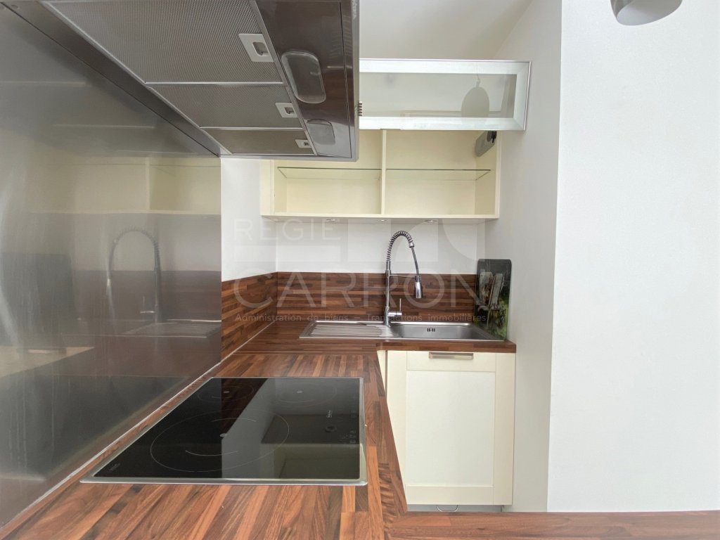 APPARTEMENT T3 A LOUER - LYON 7EME ARRONDISSEMENT - 66.55 m2 - 1066€ charges comprises par mois